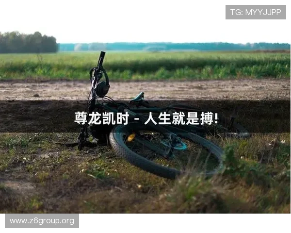 尊龙凯时中国：用户评价与口碑分析帮助你做出明智的游戏选择